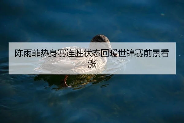 陈雨菲热身赛连胜状态回暖世锦赛前景看涨