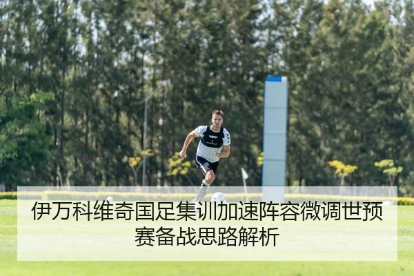 伊万科维奇国足集训加速阵容微调世预赛备战思路解析
